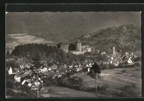 AK Rieneck, Jugendburg mit Stadt