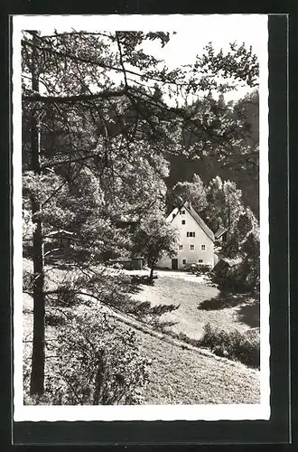 AK Hersbruck, Gasthaus und Pension Kirchthalmühle