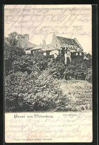 AK Miltenberg a. Main, Altes Schloss