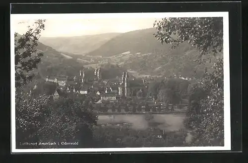 AK Amorbach i. Odenwald, Totalansicht mit Kirche und Flusspartie