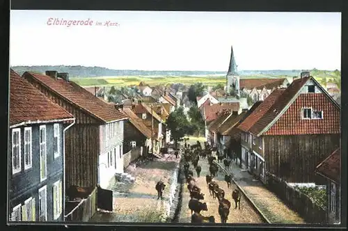 AK Elbingerode im Harz, Strassenpartie mit Kühen