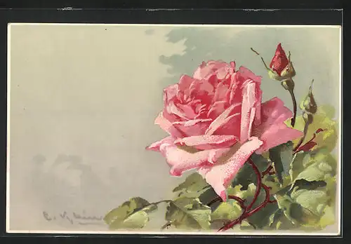 Künstler-AK Rose mit Blattgrün, mit Autograph von Prinzessin Isabella Marie Elisabeth von Bayern