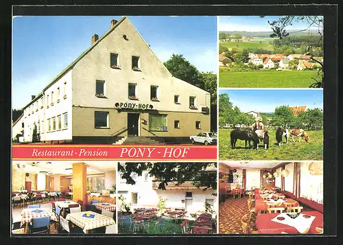AK Pressath, Restaurant Pension Pony-Hof, Ponys auf der Weide, Speisesaal