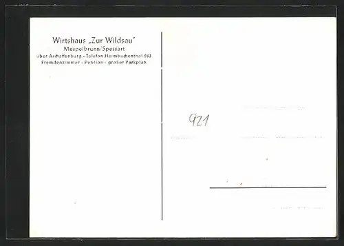 AK Mespelbrunn /Spessart, Gasthaus zur Wildsau