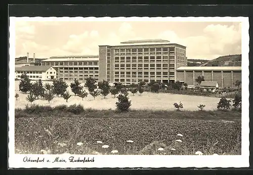 AK Ochsenfurt a. Main, Blick zur Zuckerfabrik