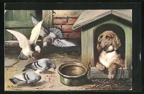 Künstler-AK Alfred Schönian: Hund in Hundehütte, Tauben