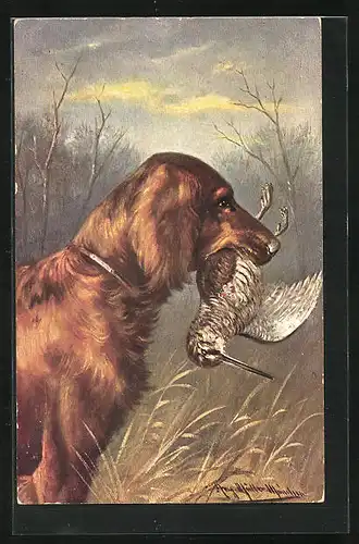 Künstler-AK August Müller - München: Jagdhund mit erlegtem Vogel