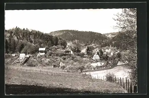 AK Artelshofen an der Pegnitz, Ortspartie mit Weiden