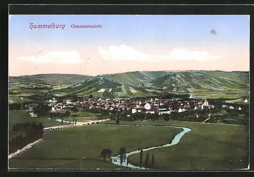 AK Hammelburg, Totalansicht mit Flussläufchen