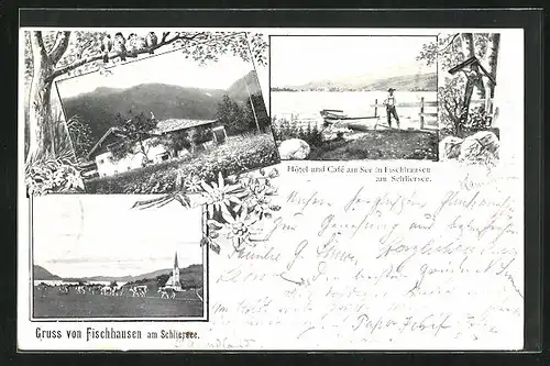 AK Fischhausen am Schliersee, Hotel und Cafe am See, Kühe auf der Weide