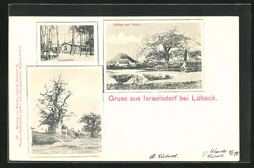 AK Israelsdorf bei Lübeck, Forsthalle, Eichen am Teich, Ortspartie