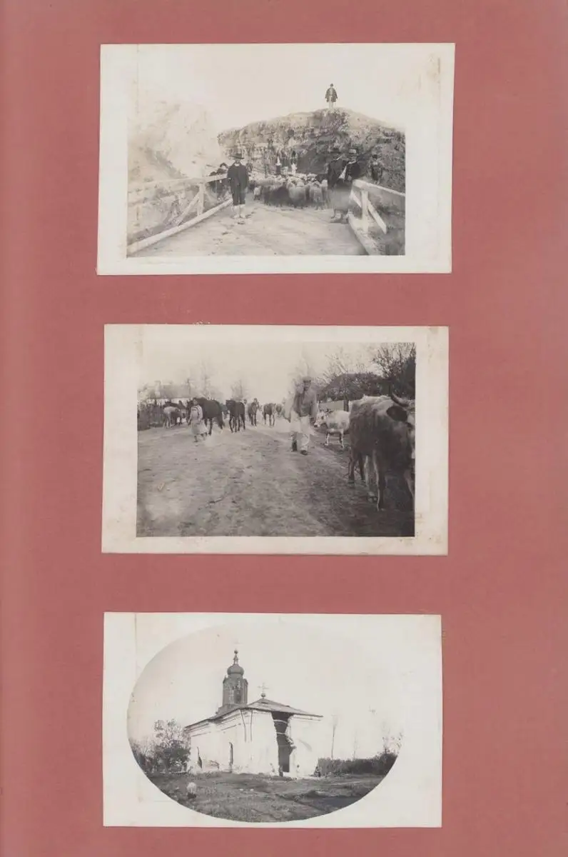 Fotoalbum 1.WK, Ansicht Rumänien, Suraia, Curtea de Arges, 286 Fotografien Deutsche Soldaten im Kriegseinsatz, 34 x 22cm 47