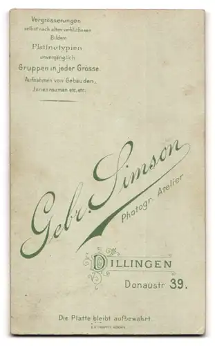 Fotografie Gebr. Simson, Dillingen, Donaustr. 39, Soldat im 2. Chevaulegers-Regiment Taxis