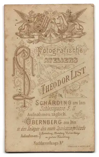 Fotografie Theodor List, Schärding a. I., Schlossgasse 5, Portrait Frau im Trachtenkleid mit Schirm und Handtasche