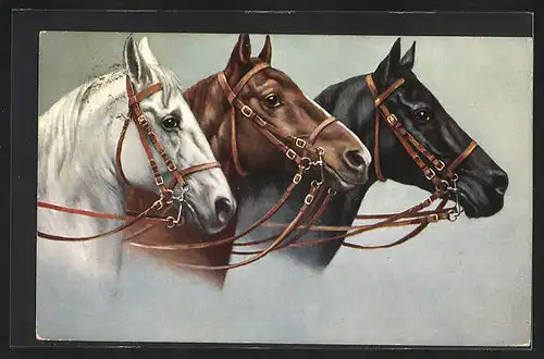 Künstler-AK Pferde, mit Autograph von Prinz Alfons von Wrbna
