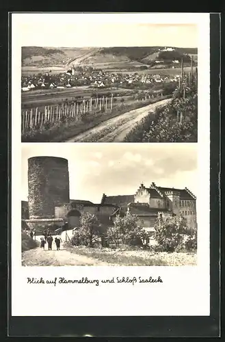 AK Hammelburg, Schloss Saaleck, Panoramablick auf den Ort
