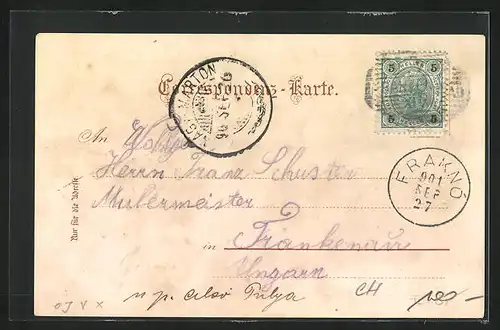 Lithographie Franzensbad, Louisenquelle, Cartellieri`s Bäder, Salz- und Wiesenquelle