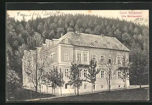 AK Königswart, Hotel Villa Waidmannsheil