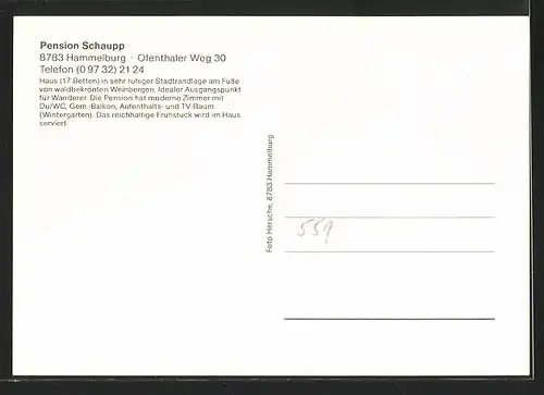 AK Hammelburg, Pension Schaupp, Totalansicht
