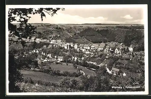 AK Wildberg i. Schwarzwald, Teilansicht