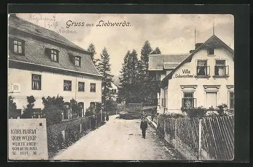 AK Bad Liebwerda / Lazne Libverda, Gasthaus Villa Schweizerhaus, Denkmal Karl Maria von Weber