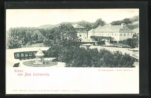 AK Bad Liebwerda / Lazne Libverda, Brunnenplatz, Gräfl. Schloss