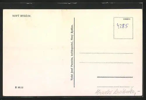 AK Nový Bydzov, Celkový pohled