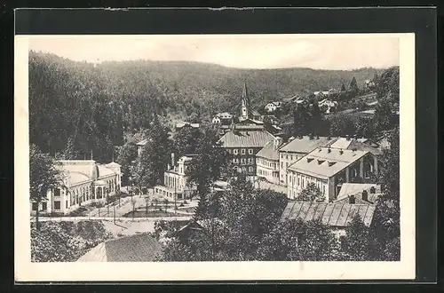 AK Johannisbad / Janske Lazne, Teilansicht aus der Vogelschau