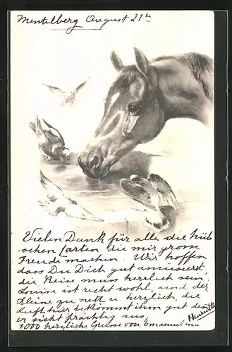 Künstler-AK Pferd und Vögel, Autograph von Prinzessin Henriette von Belgien