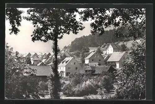 AK Friedenfels / Steinwald, Teilansicht