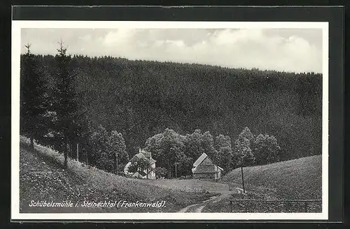 AK Schübelsmühle / Frankenwald, Totale