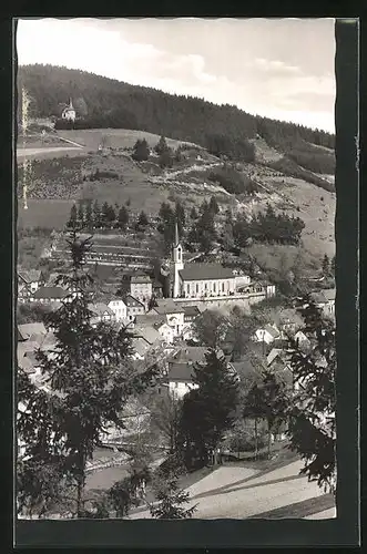 AK Wallenfels / Frankenwald, Panoramablick vom Berg