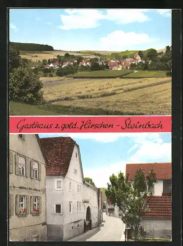 AK Steinbach / Würzburg, Gasthaus zum gold. Hirschen, Gesamtansicht