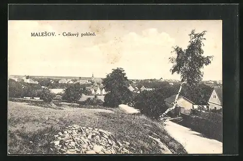 AK Malesov, Celkovy pohled