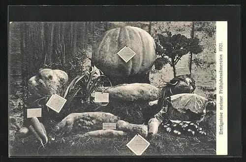 AK Elze i. Han., Ergebnisse der Frühjahrssämereien 1921