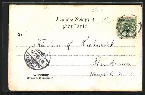 Lithographie Lübeck, Totalansicht, Schiffer-Gesellschaft, Leibel-Denkmal