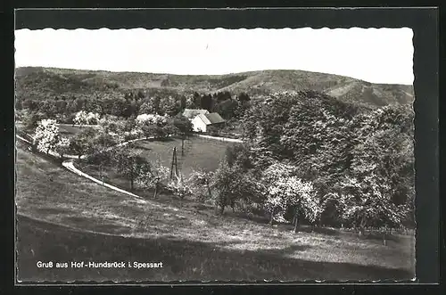 AK Eschau, Blick zum Hof Hunsrück