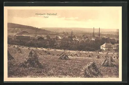 AK Hösbach-Bahnhof, Gesamtansicht