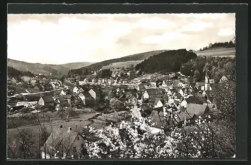 AK Heigenbrücken / Spessart, Totalansicht