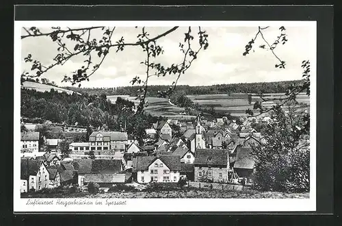 AK Heigenbrücken / Spessart, Gesamtansicht