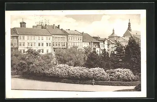 AK Josefstadt / Josefov / Jaromer, Stadthäuser am Park