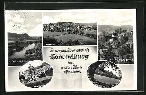 AK Hammelburg, Gesamtansicht, Blick auf Schloss Saaleck, Marktplatz, Kloster Altstadt