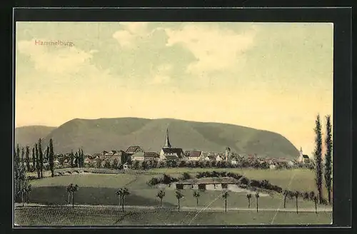 AK Hammelburg, Panorama