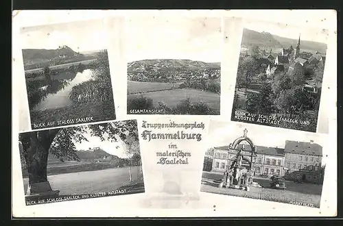 AK Hammelburg /Saale, Totalansicht, Blick zum Schloss Saaleck, Kloster Altstadt, Marktplatz