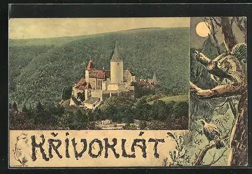 AK Krivoklát, Burg