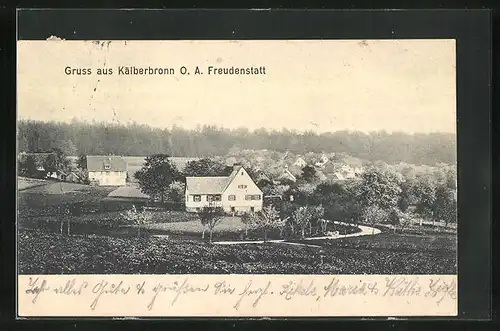 AK Kälberbronn O. A. Freudenstatt, Ortsansicht