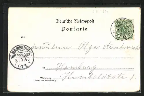Lithographie Lübeck, Dom v. d. Trave aus gesehen, Burgstrasse, Schifferhaus