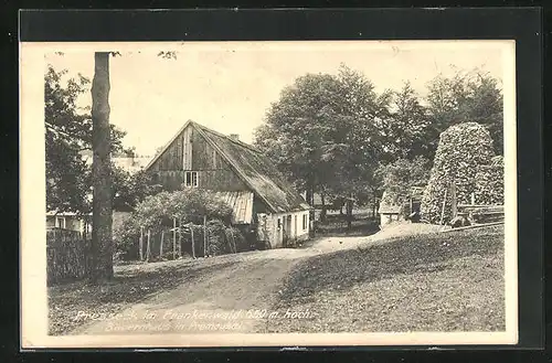 AK Presseck / Frankenwald, Strassenpartie am Bauernhaus im Ortsteil Premeusel