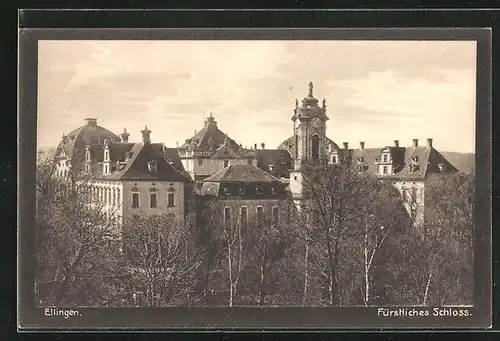 AK Ellingen, Fürstliches Schloss