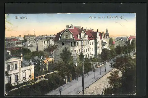 AK Bitterfeld, Partie an der Linden-Strasse